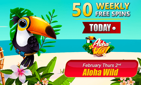 50 FREE Spins Weekly Offer – Limited Time Only